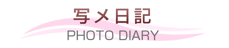 写メ日記
